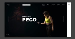 Website Developer